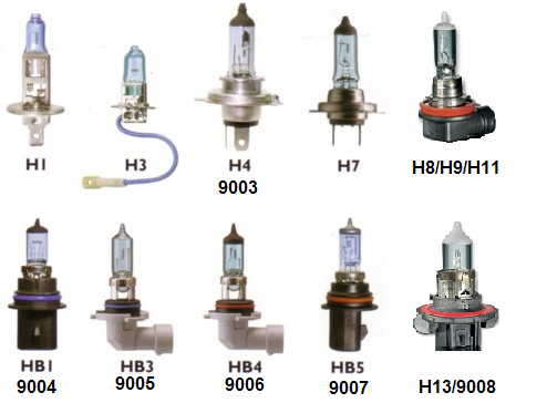 bulbs